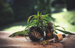 CBD a modern élet kihívásai között – alapvető tudnivalók