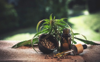 CBD a modern élet kihívásai között – alapvető tudnivalók