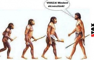 17 gondolatébresztő rajz az evolúcióról