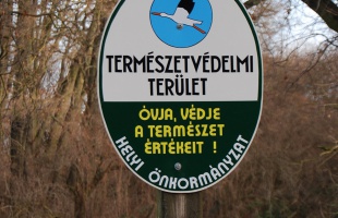Védjük a Desedát