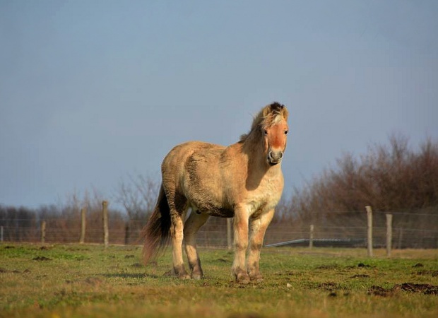 Gyönyörű délután a Petörke-tónál