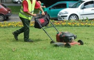 Pénzbírság helyett közérdekű munka