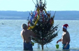 Fát vittek az alig öt fokos Balatonba