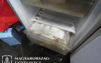 Letartóztatták a hűtőben kábítószer gyanús  anyagot tároló férfit