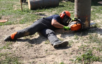 Felbőgtek a motoros fűrészek Ropolypusztán