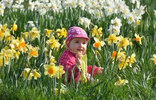 Nárciszültetésre hívják a kaposváriakat a Rippl-Rónai Villába