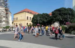 A csapból is méz folyik - Kezdetét vette a XIV. Kaposvári Mézfesztivál