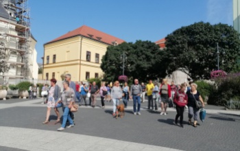 A csapból is méz folyik - Kezdetét vette a XIV. Kaposvári Mézfesztivál