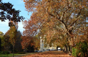 Őszi színekben pompázó kaposvári parkok