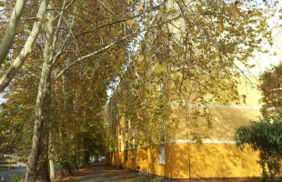 Borúsabb idő várható keddtől