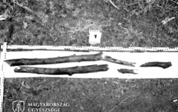 Nem tudta megmondani, hol a szoba kulcsa, széttörték a fején a fakarót