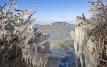 A befagyott Balcsi az új Temesvár utca