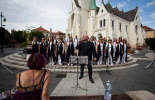 Ingyenes programok az idei Kaposfesten