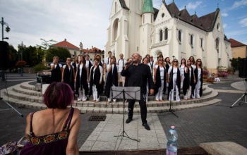 Ingyenes programok az idei Kaposfesten