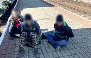 Papírdobozban akartak Magyarországra jutni