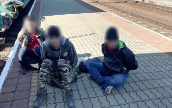 Papírdobozban akartak Magyarországra jutni