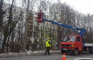 Eltávolítják a veszélyes faágakat