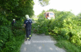 Huszonkilenc alkalommal riasztották a somogyi tűzoltókat a hétvégén