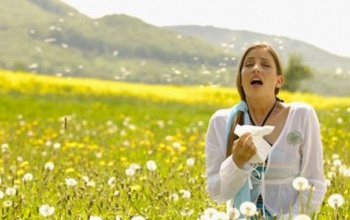 Több allergén növény okozhat tüneteket a következő napokban