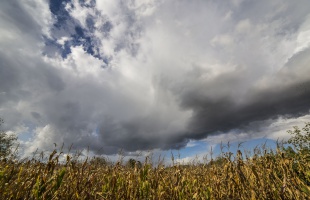 Változékony, csapadékos, enyhe hétvége várható