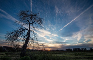 Nyugodt, de lesz szürke idő