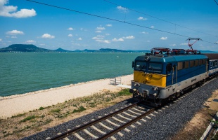 Kidőlt fa miatt szünetel a vonatforgalom Balatonmáriafürdőnél