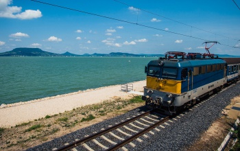 Kidőlt fa miatt szünetel a vonatforgalom Balatonmáriafürdőnél