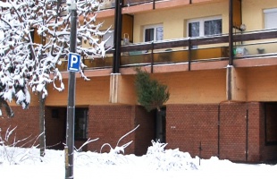 Megmutatjuk, hogyan dobja ki a fenyőfáját