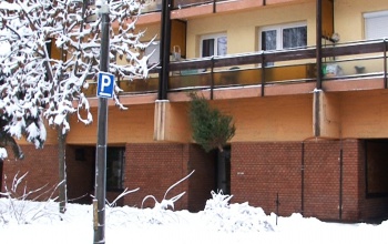 Megmutatjuk, hogyan dobja ki a fenyőfáját