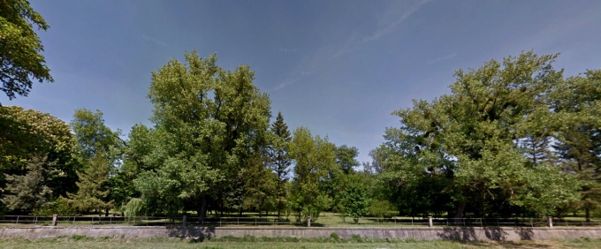 A Jókai liget születésnapja