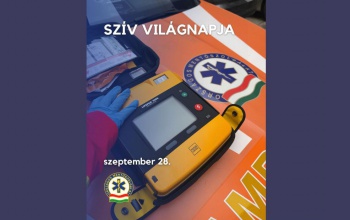 Ma van a szív világnapja