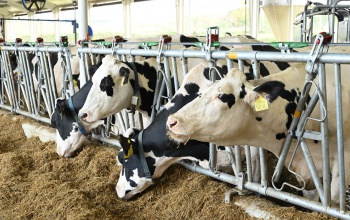 Campus 7. adás - Világszínvonalú technológiák az agrárképzésben