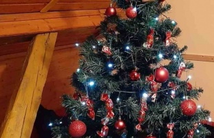 Dalmy karácsonyfája
