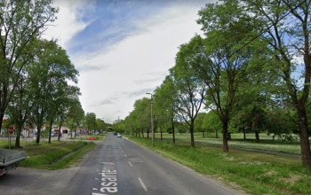 Holttestet találtak a Városligetnél