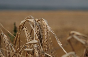 A magyar agrárium jövője a generációváltáson, a fiatal mezőgazdasági termelőkön múlik