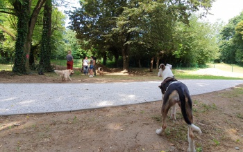 Kutyafuttatóból sosem elég – ön szerint hol lenne érdemes Kaposváron újakat telepíteni?