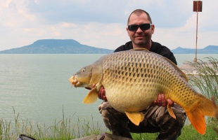 Nem lesz pontytilalom a Balatonnál