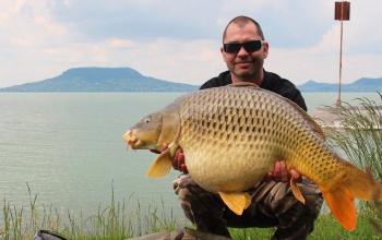 Nem lesz pontytilalom a Balatonnál