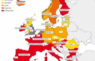Európában is kiterjedt járvány van