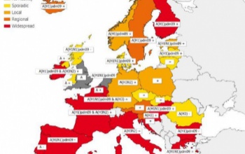 Európában is kiterjedt járvány van