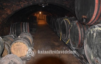 Veszélyben a borosgazdák