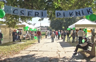 A Cseri pikniken ötleteket gyűjtöttek a park megújításához