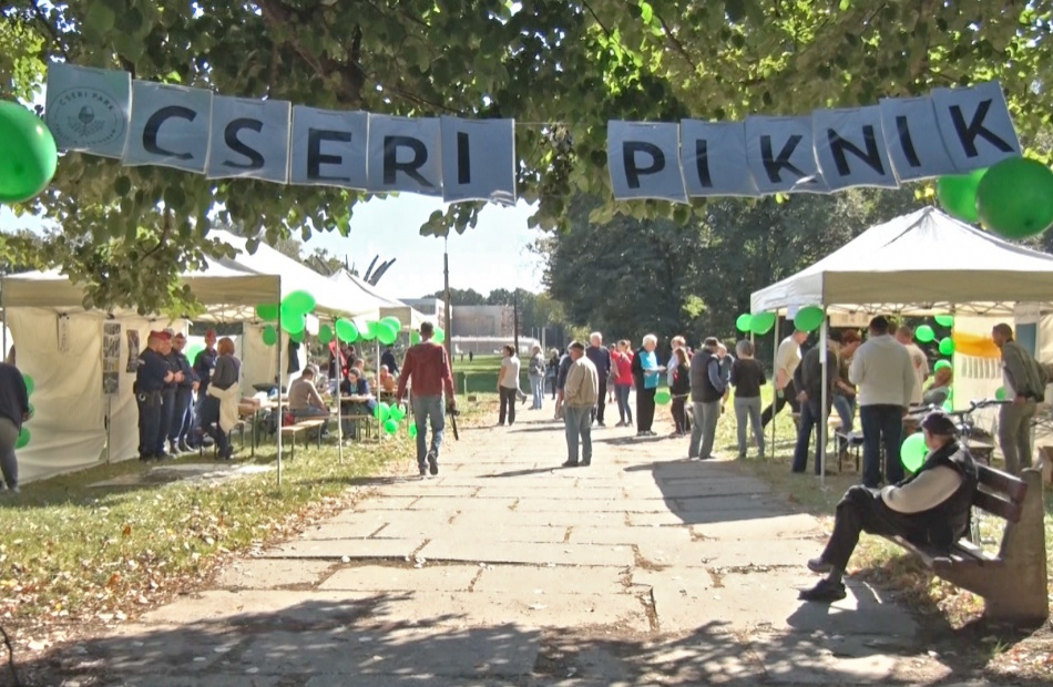A Cseri pikniken ötleteket gyűjtöttek a park megújításához