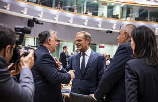 Európai pálfordulás