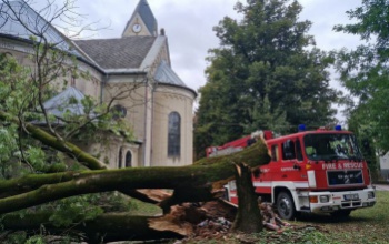 Fa dőlt a Hősök templomára