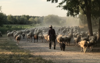 Kormánytisztviselők fotói versenyeztek