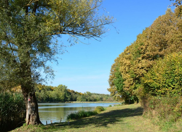 Őszi séta a nyugalom szigetén