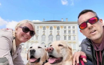 Erika Németországból: a kutyák köszönik, jól vannak!