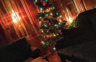 Bogi és Beni karácsonyfája