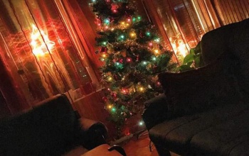 Bogi és Beni karácsonyfája